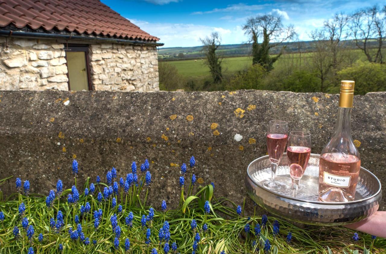 Valley View Farm Holiday Cottages Гелмслі Екстер'єр фото